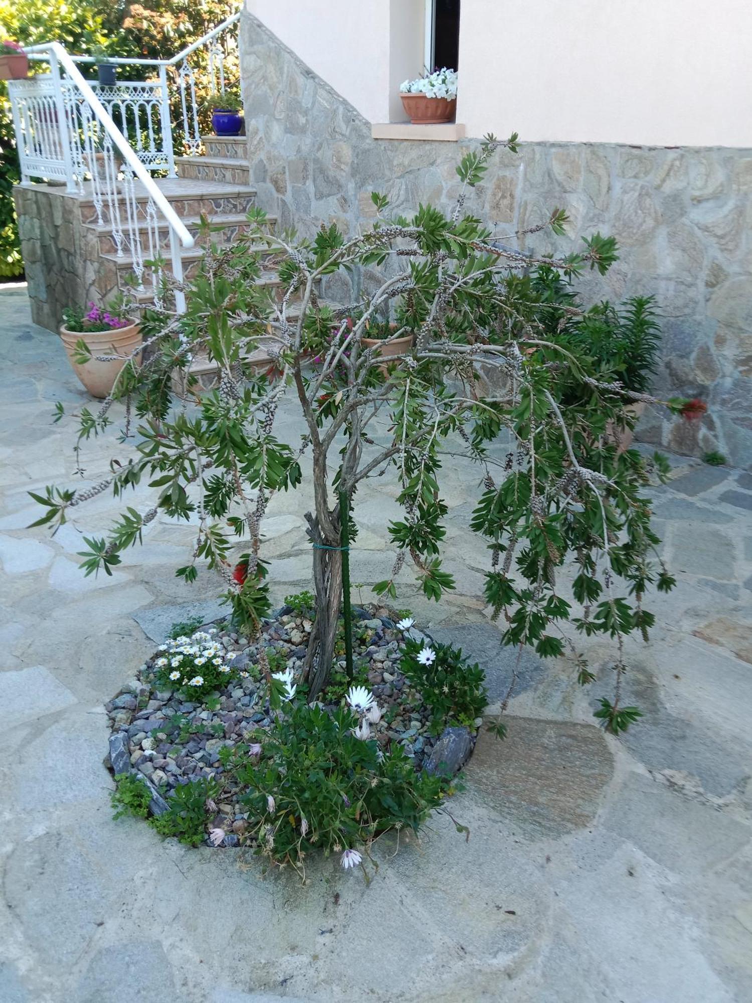 Les Espaces De Furiani Ngoại thất bức ảnh